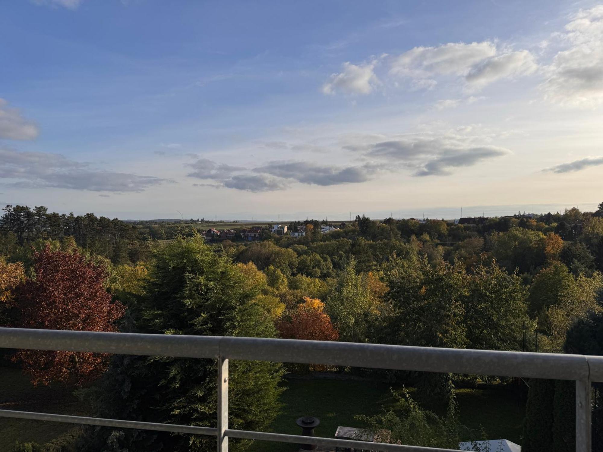 Diamondvilla, 4 Bedroom Apartment, Garden & Spa Praag Buitenkant foto