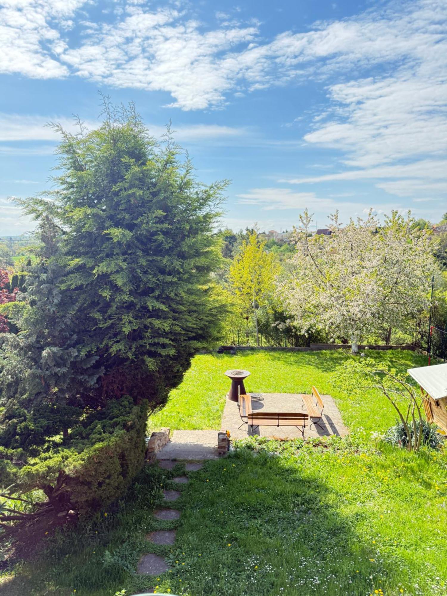 Diamondvilla, 4 Bedroom Apartment, Garden & Spa Praag Buitenkant foto